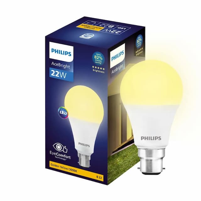 PHILIPS 22-watt LED Bulb |AceBright High Wattage LED Bulb|Base: B22 Light Bulb for Home | Warm White, Pack of 1 22W | B22 Warm White Pack of 1