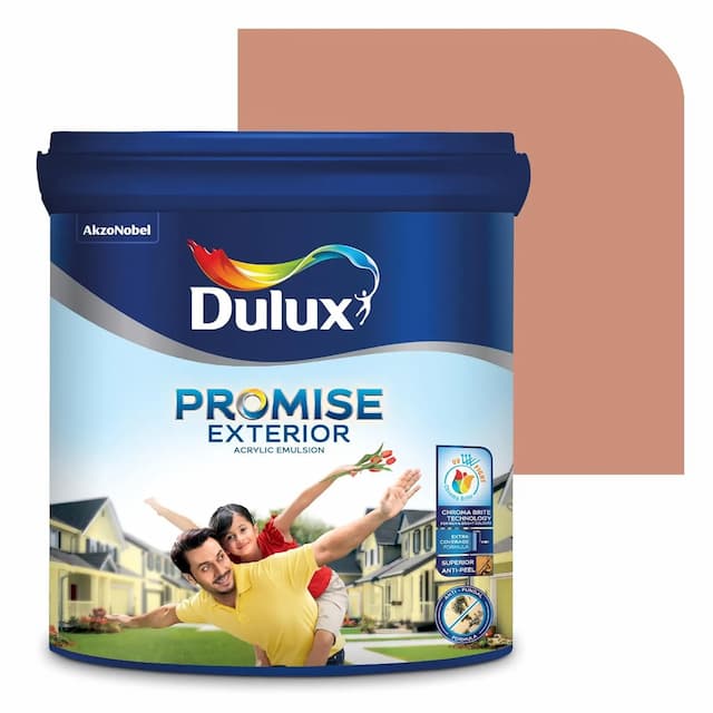 Dulux Promise Exterior Emulsion Paint (1L, Cedar Shadow) | Ideal for Exterior Walls | Smooth Finish | Anti-Peel & Anti-Crack | Long-Lasting Colors