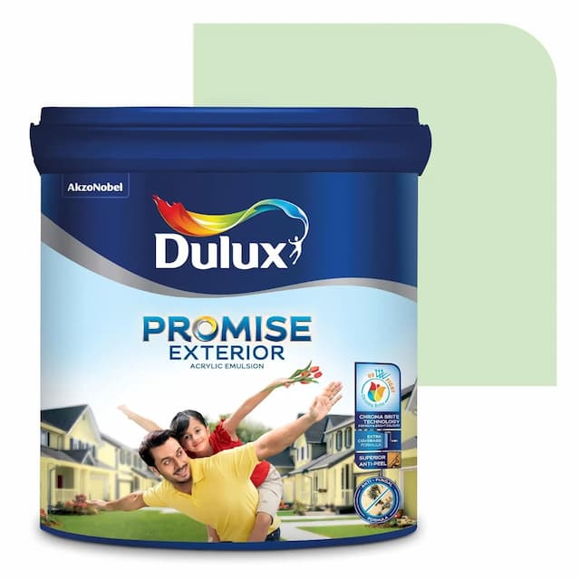 Dulux Promise Interior Emulsion Paint (10L, Glass Green) | Brighter & Longer-Lasting Colors | Rich Finish | Chroma Brite Technology | Anti-Chalk | Water-Based Acrylic Paint